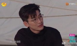 吴磊爆料张翰现状视频播放,视频播放背后的故事